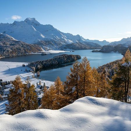 Hotel Cristallina Sils Maria Dış mekan fotoğraf